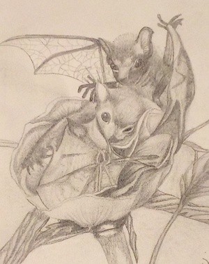 IMG 2025-11-29-22-23-44-866