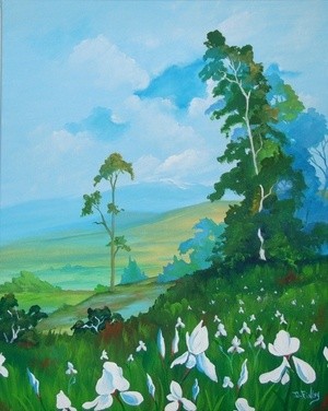 wild mountain iris