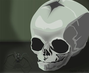 SpiderHeadShot