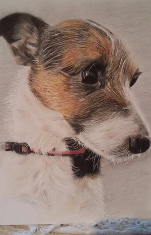 Jack Russell 