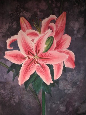 Tanya Antimirova Portfolio