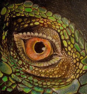 Snake Eye