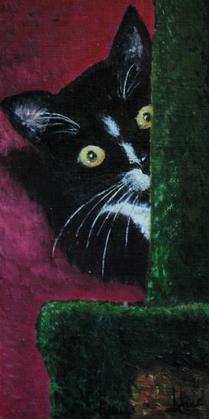 Scary Kitty