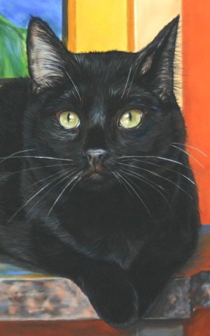 Black Cat