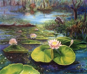 Waterlilies