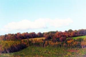 September in N.H. 