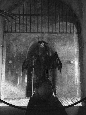 Liverbird In The Shadows