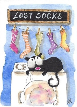 Lost Socks