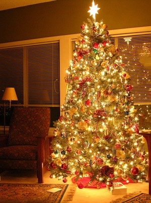 5min christmas tree exposure