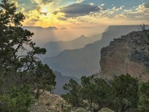 Naturescapes