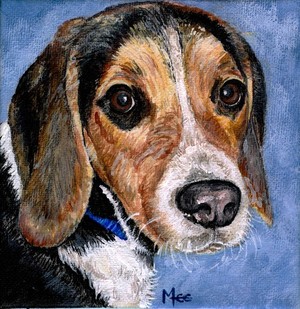 Rocky the Beagle