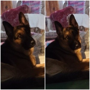 REB CATCHES  THE LIGHT