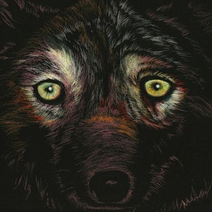 Bearwolf