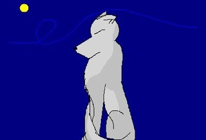 Moon Light