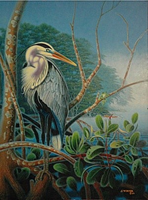 GREAT BLUE HERON AND TREE FROG