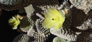 IMG 20250619 133054
