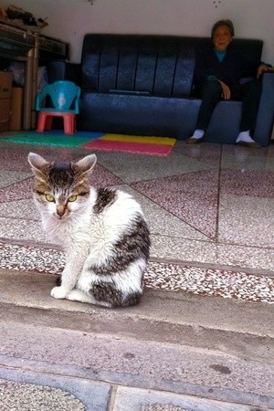 Kitty and her grandma