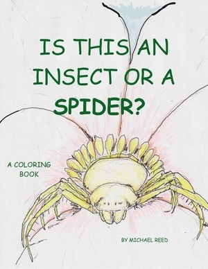 new-insect-and-spider-cover-14