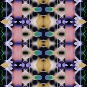 332555952 mirror13