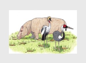 Hippo & Cranes Whimsical Illustration