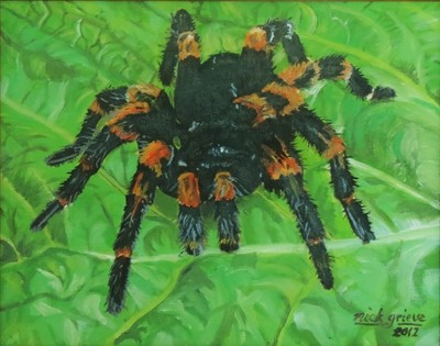 Tarantula