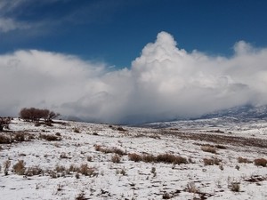 our ranch landscape 2