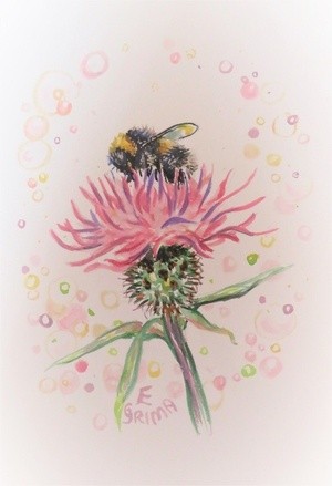 Bee on a pink flower