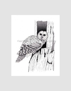 Owl in Deadwood Pen and Ink Stippling