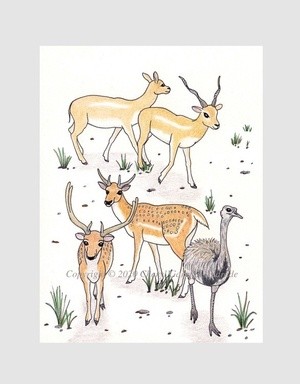 Fallow Deer, Gazelles & Rhea Whimsical Illustration