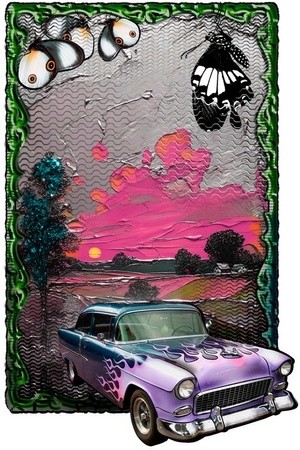 -Butterfly Car(11)