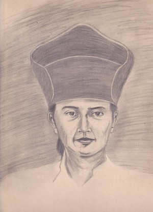 nano sunar