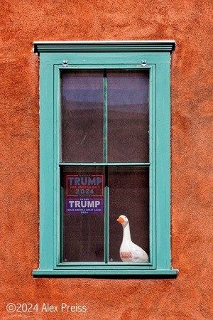 MAGA sitting duck waiting for his savior.