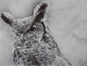The Great One -Great Horned Owl