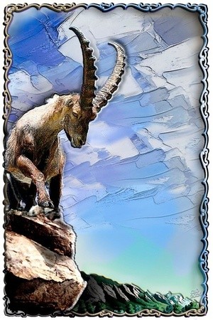 -Ibex Patrols