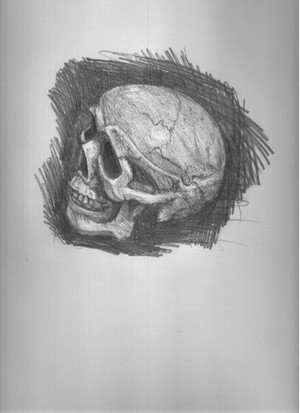 skull