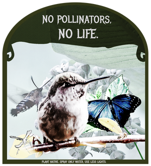 No Pollinators, No Life