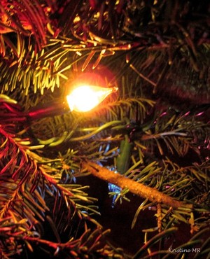 Christmas Lights Two-Warm