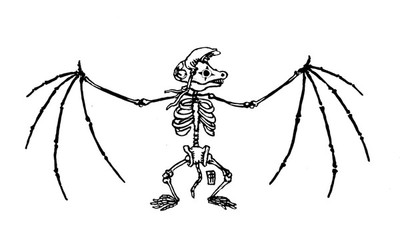 Skeleton Bat