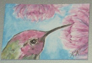 Anna's Hummingbird ACEO