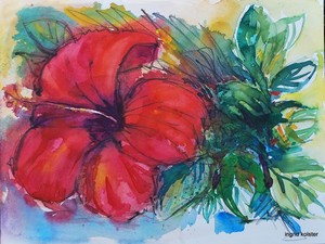 Hibiscus