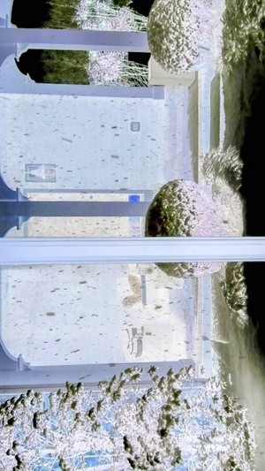 20260117 115703~5