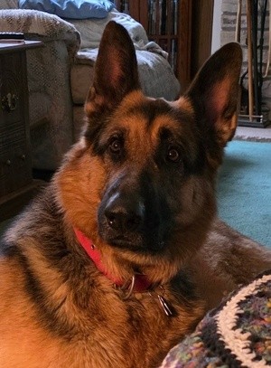 REB.  DID SOMEONE SAY ICE CREAM?