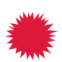 Polash Kirtonia