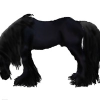The Black Stallion