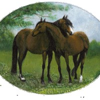 White Horse Design Studio