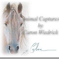 Caron Wiedrick