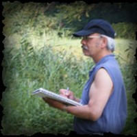 Laurens G. Vermaesen