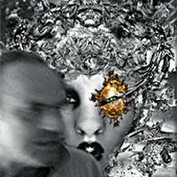 werner hornung