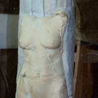 Acsinia Alexandra