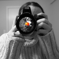 Kimberly  Rose